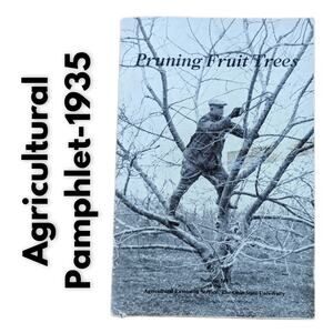 Vintage 1935 Agricultural Bulletin Booklet Pruning Fruit Trees Depression Era